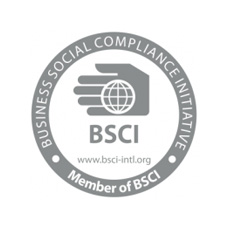 logo bsci